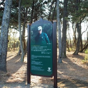 宮崎市　看板　野立てサイン