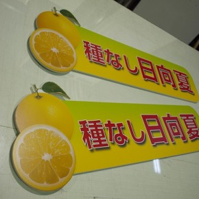 販促用POP　～新富町～