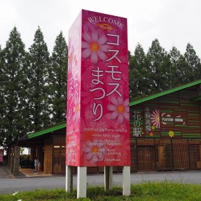 生駒高原　コスモス祭りサイン